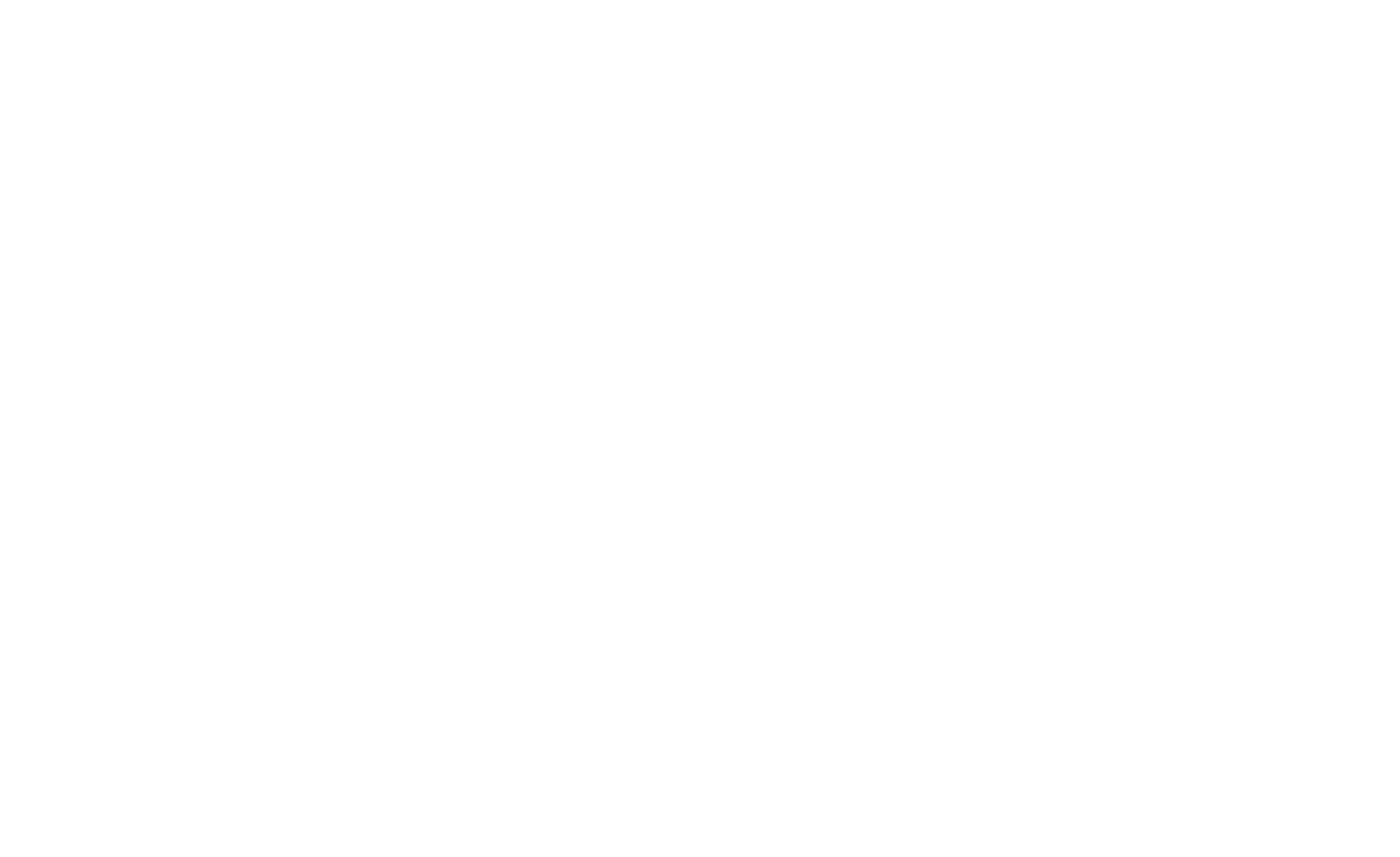 Aline Baroli — Fisioterapeuta